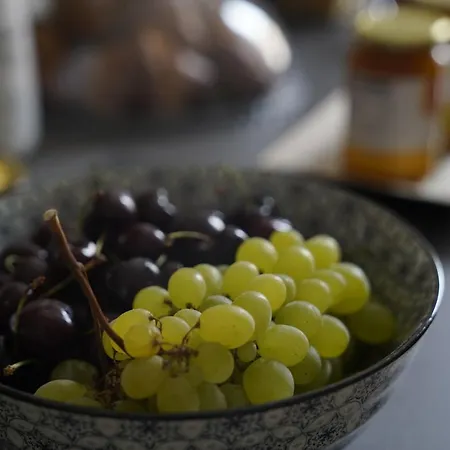 招待所 Socrate 3*